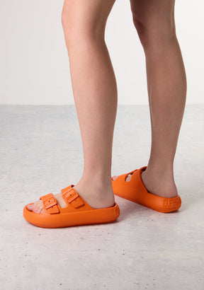 Bloomer Bio Orange