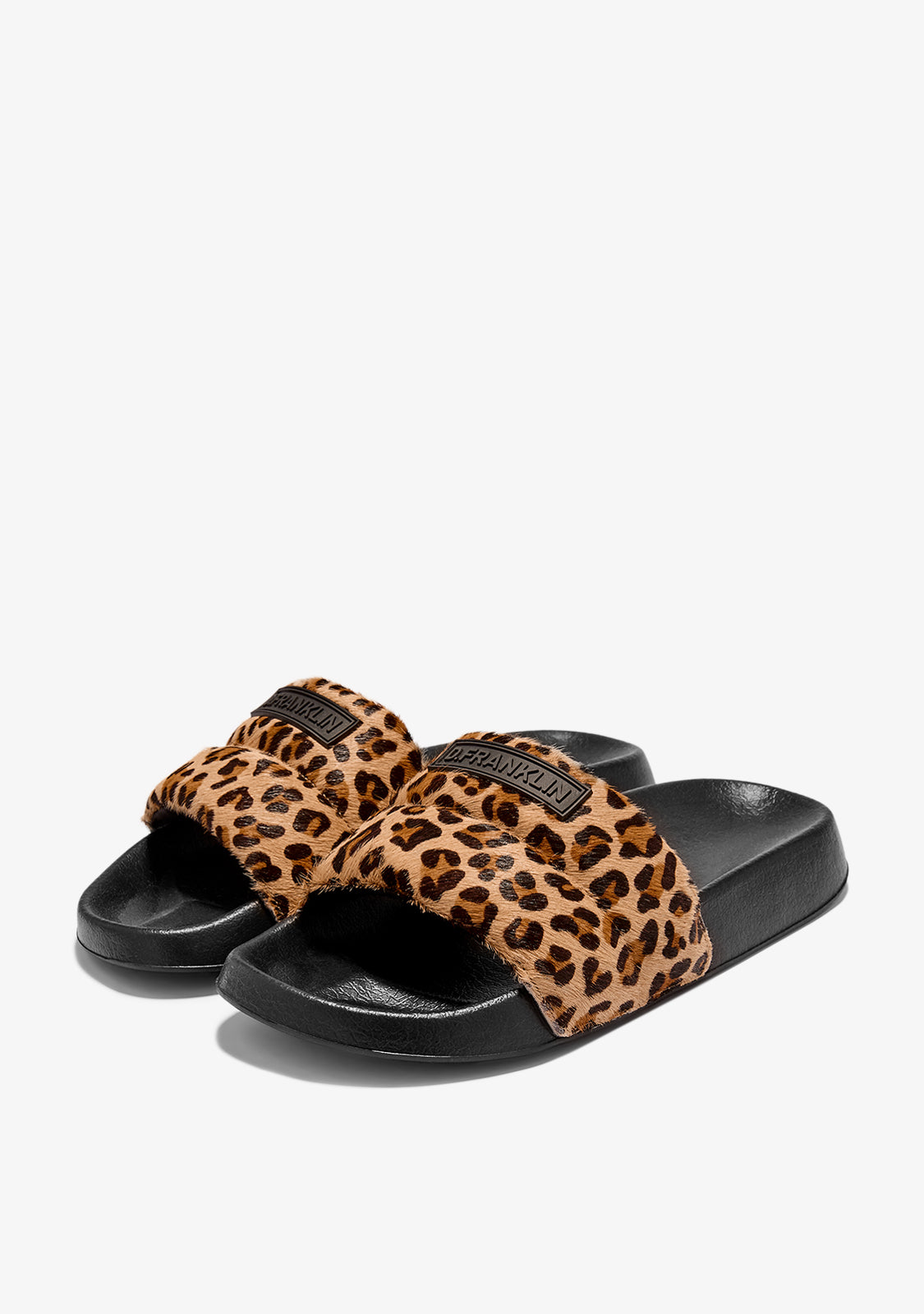 Venice Slides Leo Pony