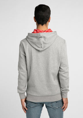 Hoodie Tetsuta Grey