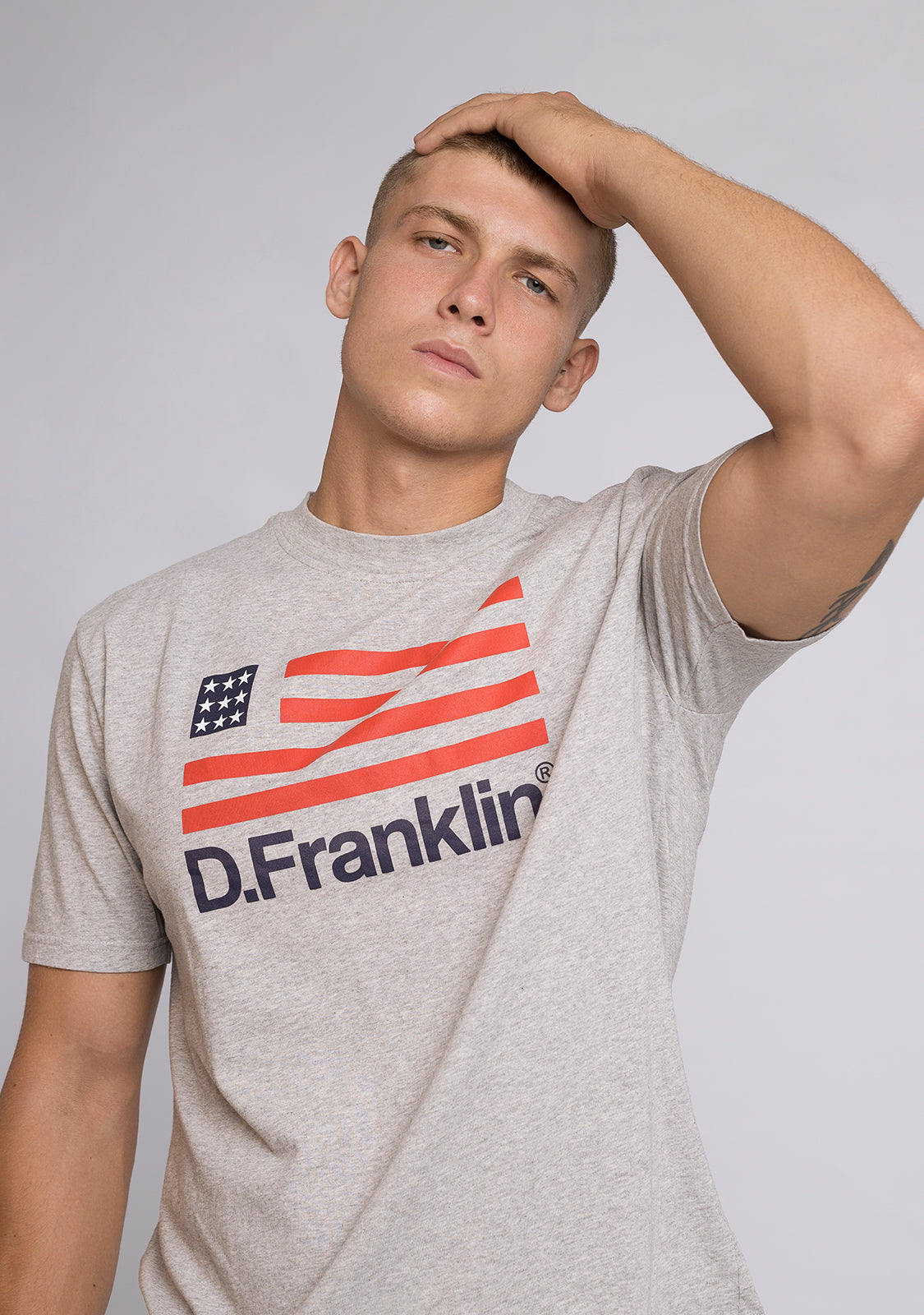 T-Shirt D.Franklin Flag Grey